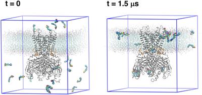 Computational Identification of Novel Kir6 Channel Inhibitors